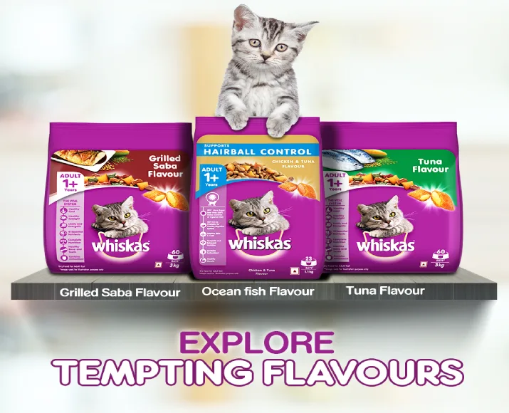 Whiskas Chicken and Tuna Flavour Hairball Control Dry Cat Food for Adult Cats at ithinkpets (1)