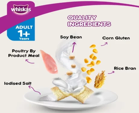 Whiskas Chicken and Tuna Flavour Hairball Control Dry Cat Food for Adult Cats at ithinkpets