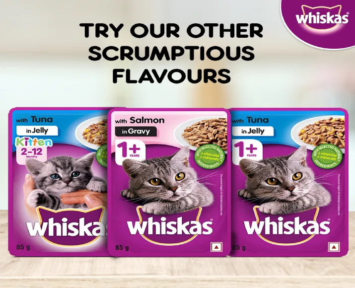 Whiskas Chicken in Gravy Adult Wet Cat Food at ithinkpets (11)