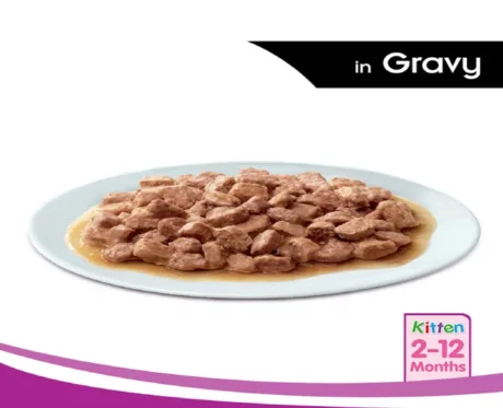 Whiskas Chicken in Gravy Wet Kitten Food at ithinkpets