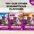 Whiskas Chicken in Gravy Wet Kitten Food, (2-12 Months)