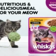 Whiskas Chicken in Gravy Wet Kitten Food, (2-12 Months)