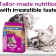 Whiskas Dry Cat Food for Adult Cats For Healthy Skin And Coat, (+1 year)