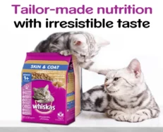Whiskas Dry Cat Food for Adult Cats For Healthy Skin & Coat at ithinkpets