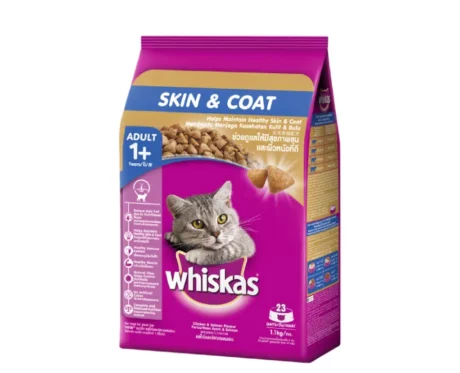 Whiskas Dry Cat Food for Adult Cats For Healthy Skin & Coat at ithinkpets