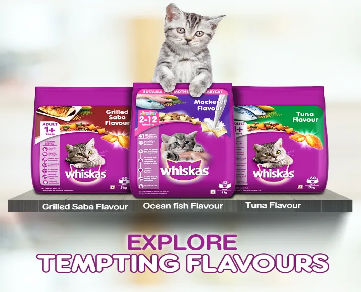 Whiskas Grilled Saba Flavour Adult Dry Cat Food at ithinkpets (1)