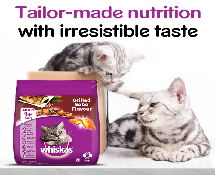 Whiskas Grilled Saba Flavour Adult Dry Cat Food at ithinkpets (11)
