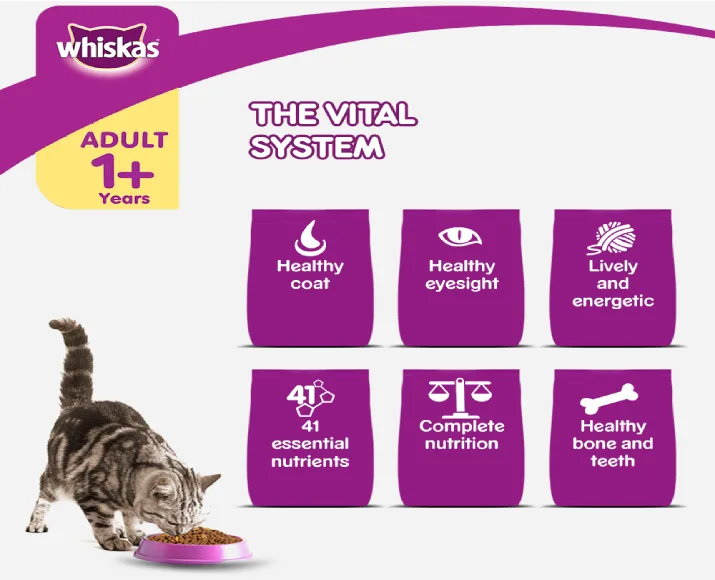 Whiskas Grilled Saba Flavour Adult Dry Cat Food at ithinkpets (8)