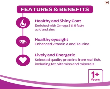 Whiskas Mackerel Adult Dry Cat Food at ithinkpets