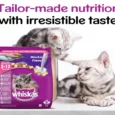 Whiskas Mackerel Kitten Dry Food, (2-12 months)