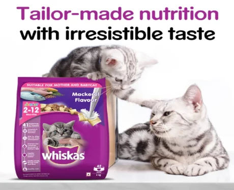 Whiskas Mackerel Kitten Dry Food at ithinkpets