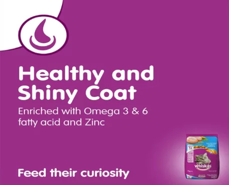 Whiskas Ocean Fish Adult Dry Cat Food at ithinkpets