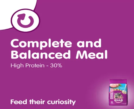Whiskas Ocean Fish Kitten Dry Food at ithinkpets