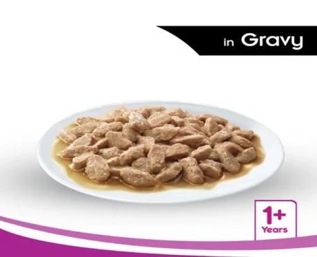 Whiskas Salmon in Gravy Adult Wet Cat Food at ithinkpets