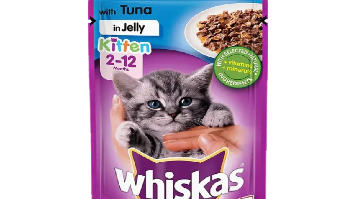 Tuna sale kitten food