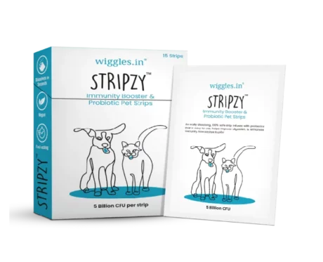 Wiggles Stripzy Immunity Booster at irhinkpets.com