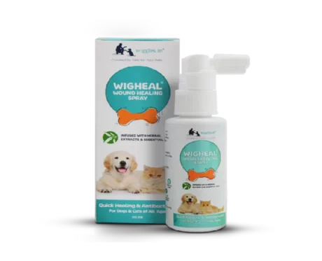 Wiggles Wigheal Wound Healing Spray at ithinkpets.com