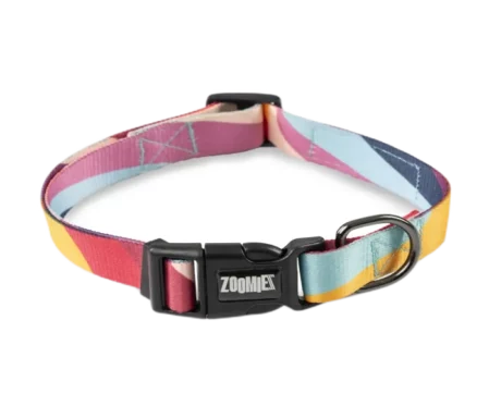 Zoomiez Swirl Printed Dog Collar at ithinkpets.com (1)
