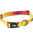 Zoomiez Solar Printed Dog Collar