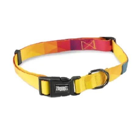 Zoomiez Solar Printed Dog Collar at ithinkpets.com (1)
