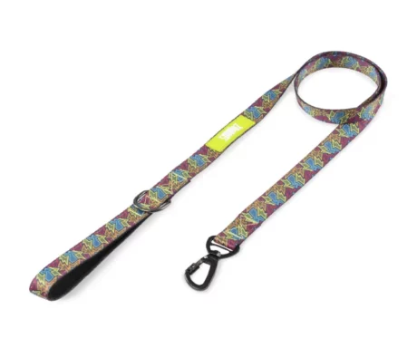 Zoomiez Bolt Printed Dog Leash at ithinkpets.com (1)