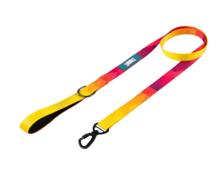 Zoomiez Solar Printed Dog Leash at ithinkpets.com (1)