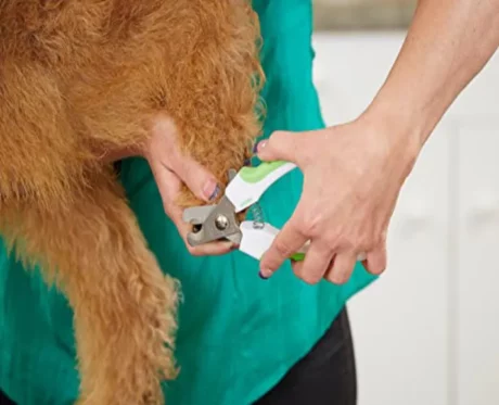 Andis Pet Animal Nail Clipper, Lime Green at ithinkpets.com (2)