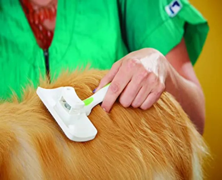 Andis Self-Cleaning Slicker Pet Brush, Lime Green at ithinkpets.com (4)