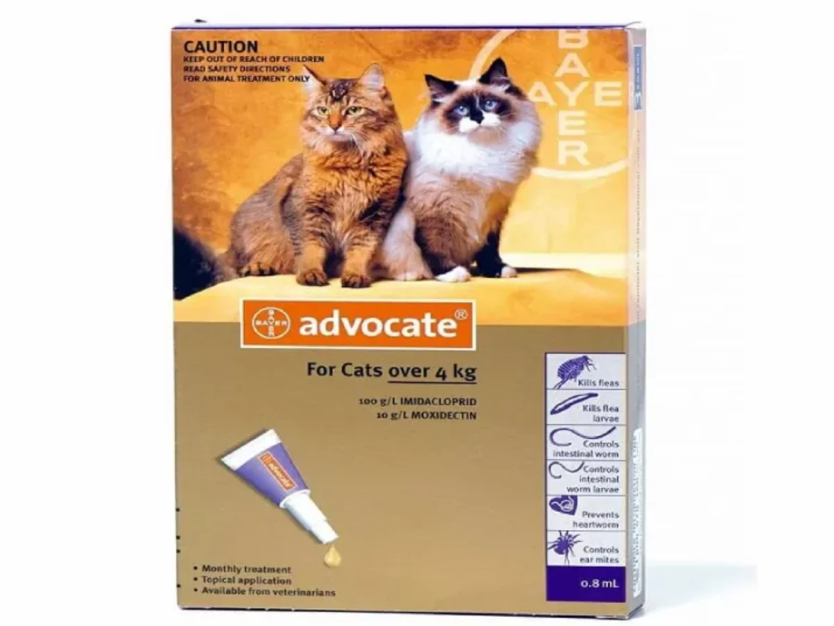 Buy Bayer Elanco Advocate Spot On For Cats (4-8kg), Comprehensive