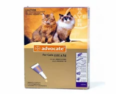 Bayer Elanco Advocate Spot On for cats at ithinkpets.com (2)