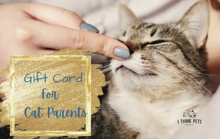 Cat Gift Card at ithinkpets