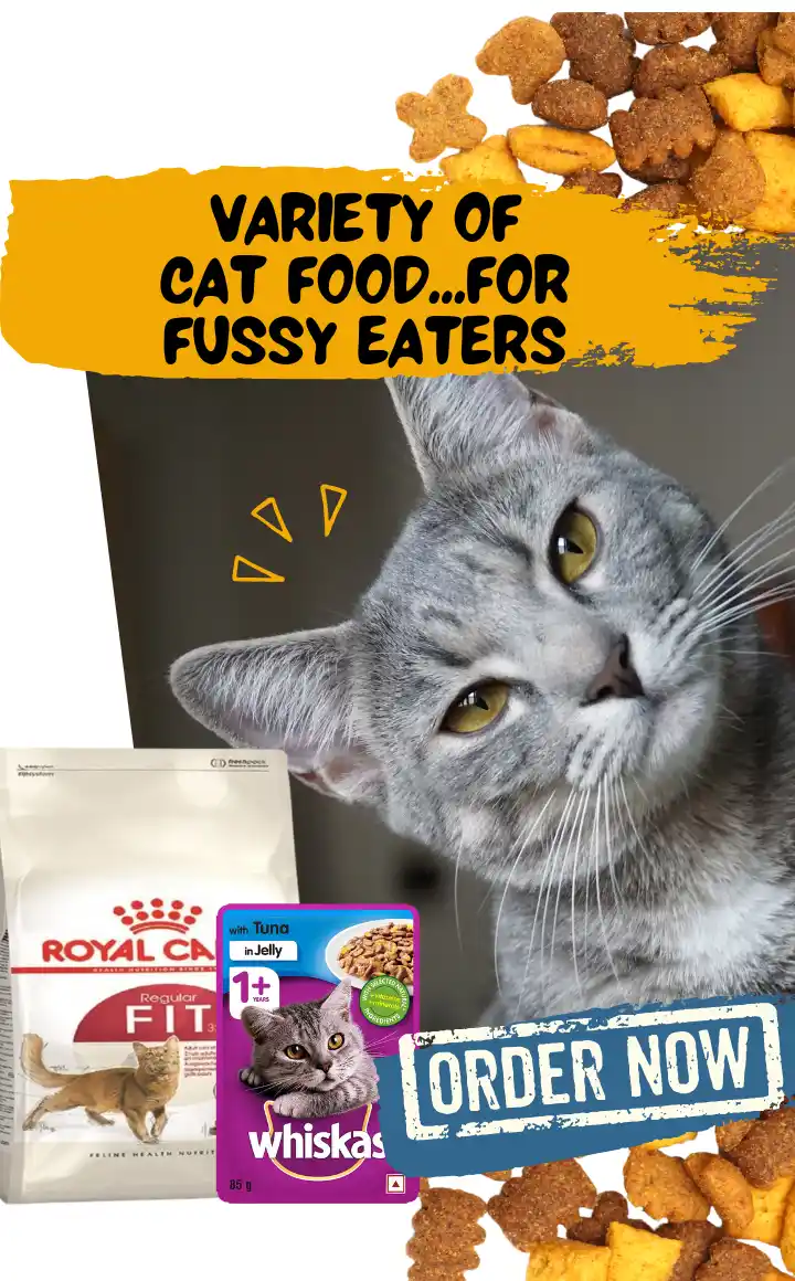 Cat Wet Food at ithinkpets.com