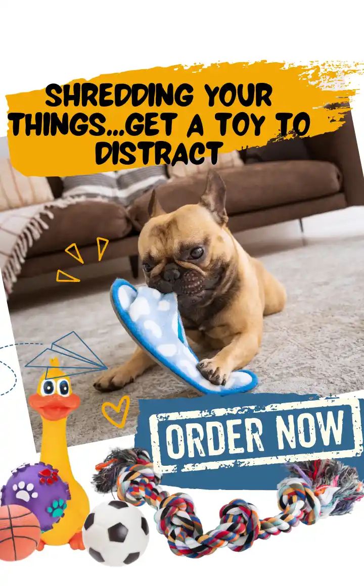 Dog Chew Toys at ithinkpets.com