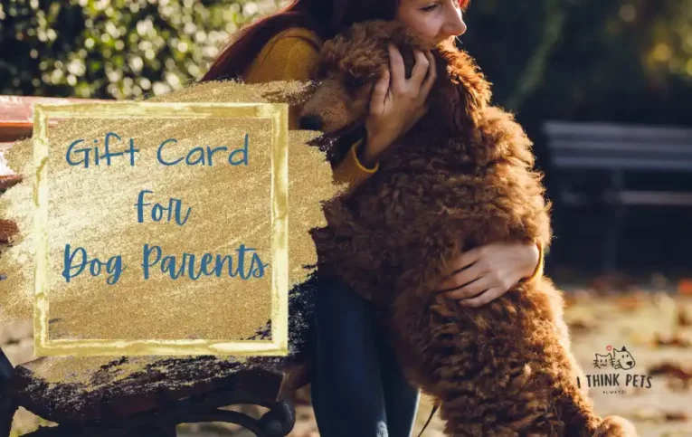 Dog Gift Cards @ithinkpets