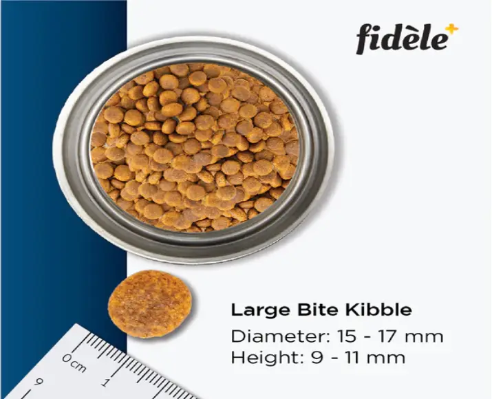 Fidele Plus Adult Large Dog Dry Food at ithinkpets.com (7)