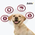 Fidele Plus Adult Light And Senior Dog Dry Food