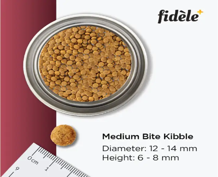 Fidele Plus Adult Light And Senior Dog Dry Food at ithinkpets.com (7)