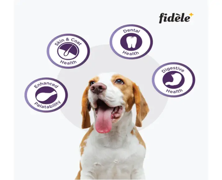 Fidele Plus Adult Small And Medium Dog Dry Food at ithinkpets.com (6)