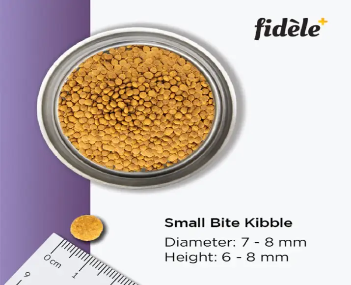 Fidele Plus Adult Small And Medium Dog Dry Food at ithinkpets.com (7)