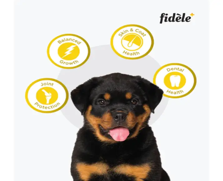 Fidele Plus Large Puppy Dry Food at ithinkpets.com (6)