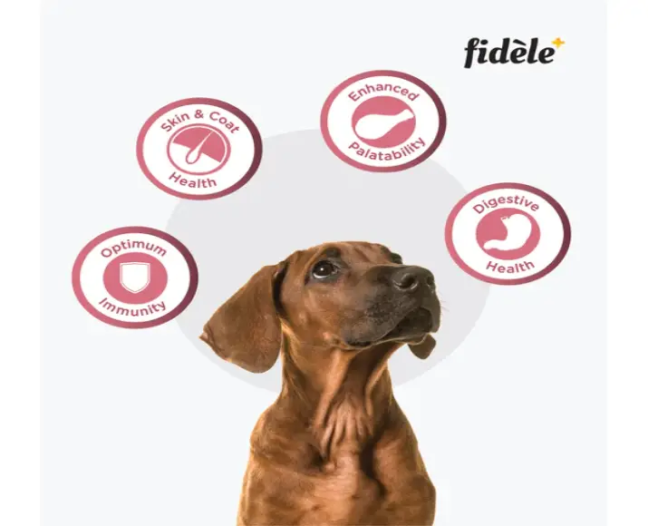 Fidele Plus Small and Medium Puppy Dry Food at ithinkpets.com (6)