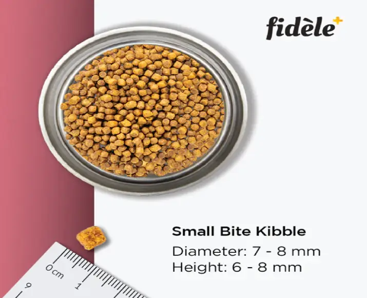 Fidele Plus Small and Medium Puppy Dry Food at ithinkpets.com (7)