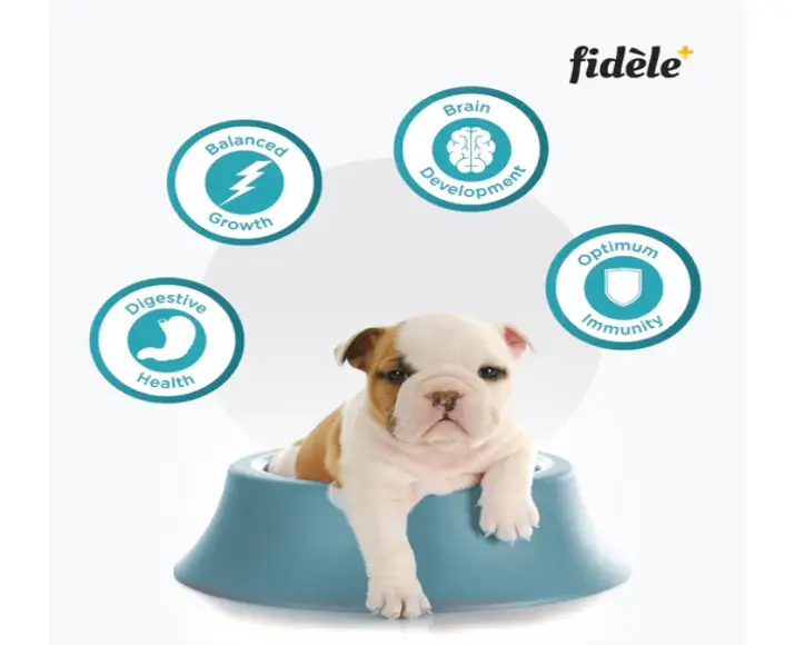Fidele Plus Starter Puppy Dry Food at ithinkpets.com (6)