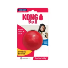 KONG Ball Dog Chew Toy at ithinkpets.com