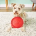 KONG Classic Flyer Toy For Dogs, Red