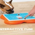 Outward Hound (Nina Ottosson) Challenge Slider Interactive Treat Puzzle Dog Toy, Multi