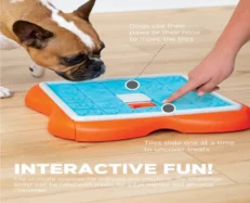 Outward Hound (Nina Ottosson) Challenge Slider Interactive Treat Puzzle Dog Toy, Multi at ithinkpets.com (2)