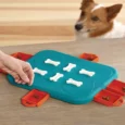 Outward Hound (Nina Ottosson) Dog Casino Unlock Pull And Treat – Interactive Dog Toy Level 3