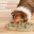 Outward Hound (Nina Ottosson) Dog Hide N Slide Interactive Treat Puzzle Dog Toy, Tan