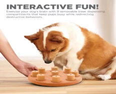Outward Hound (Nina Ottosson) Dog Smart Composite Interactive Treat Puzzle Dog Toy, Orange at ithinkpets.com (2)